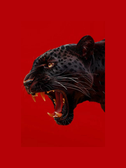 Red Leopard